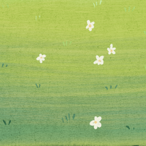 homepage