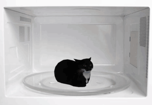 cat loafed, spinning in a microwave