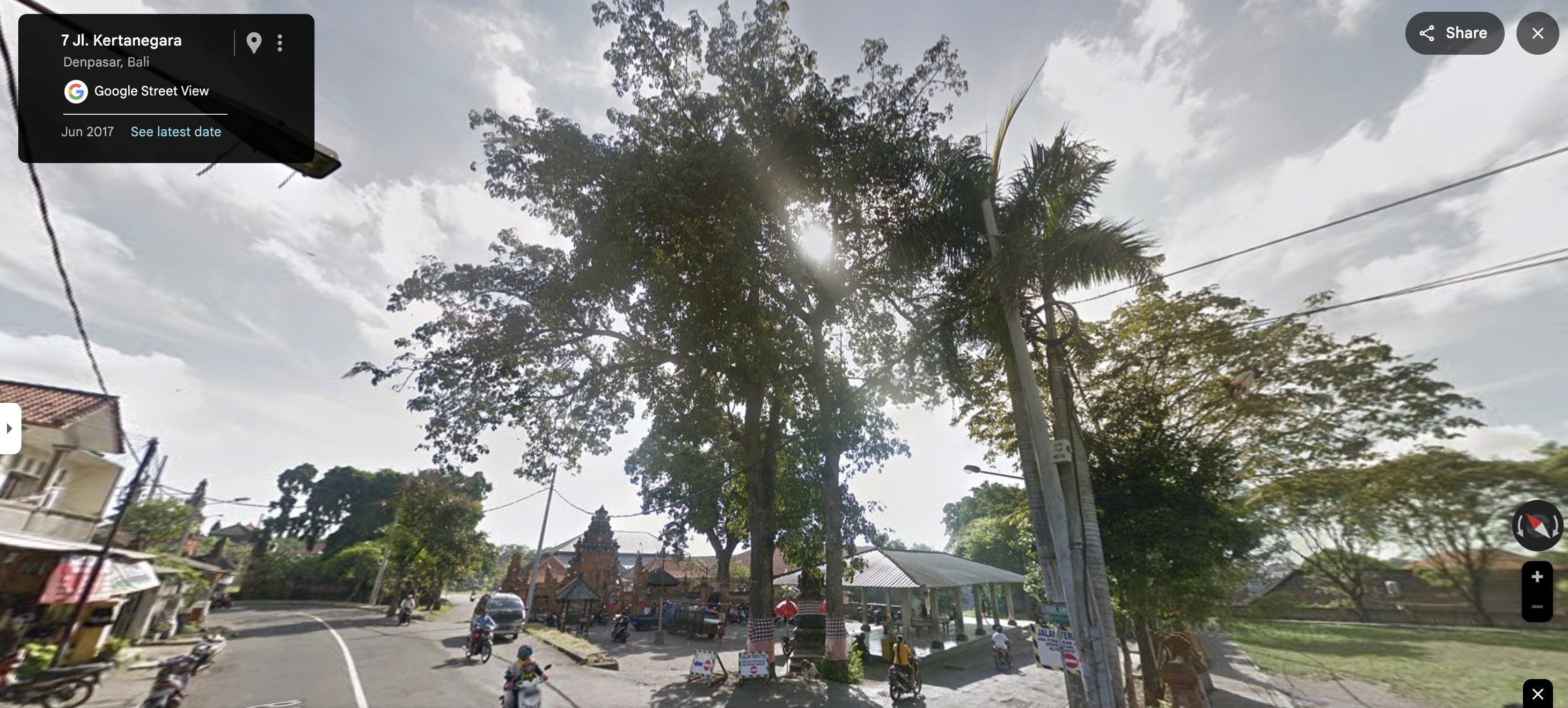 Ficus benjamina, commonly known as the Beringin or Banyan, is a popular indoor and outdoor ornamental tree. Renowned for its graceful, drooping branches and lush, glossy leaves, it thrives in warm climates. It’s often used in landscaping and interior design, symbolizing prosperity and providing excellent air purification.