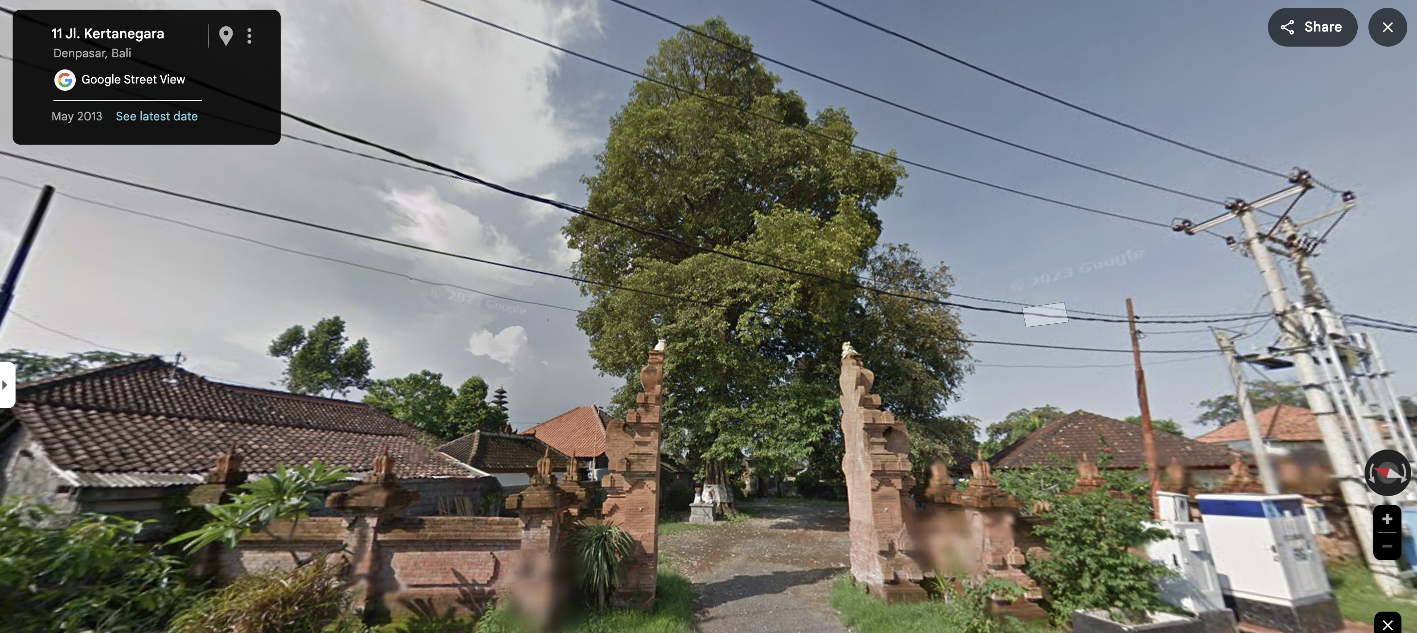 Ficus benjamina, commonly known as the Beringin or Banyan, is a popular indoor and outdoor ornamental tree. Renowned for its graceful, drooping branches and lush, glossy leaves, it thrives in warm climates. It’s often used in landscaping and interior design, symbolizing prosperity and providing excellent air purification.